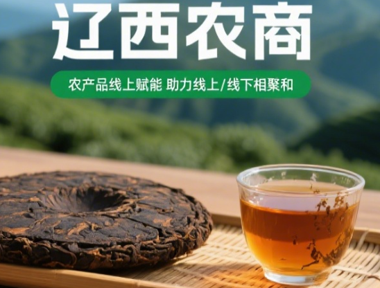 辽西农商黑茶3年