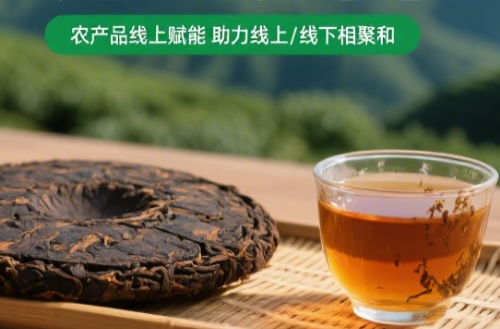鄂南农商-黑茶与现货结合是传统茶产业质量发展核心基础设施与必由之路。